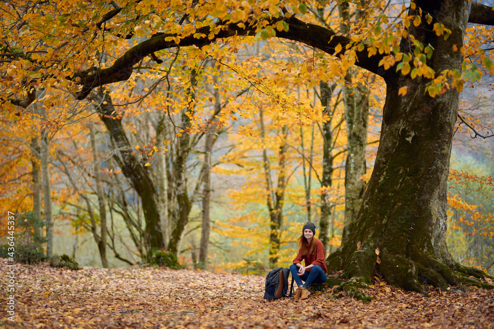 woman hiker with backpack sits under a tree in autumn forest fallen leaves landscape