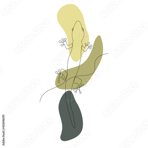 green lizard, sketch, continuous line drawing, isolated