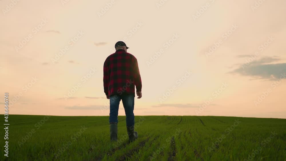 A businessman monitors the work of farmers in the field after a day's work in slow motion. Check the work of tractor drivers A businessman monitors the work of farmers in the field after a day's work in slow motion. Check the work of tractor drivers
