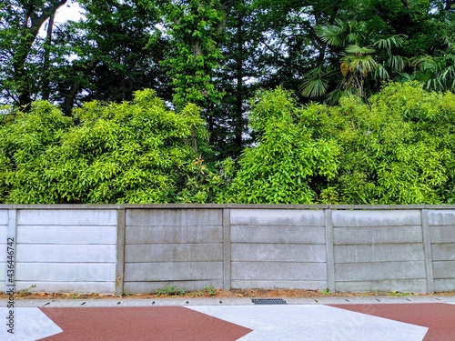Wallpaper Mural 日本の街並み〜道路のデザインとコンクリートの壁 Torontodigital.ca
