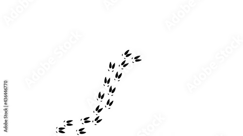 Black elk foot prints animation.