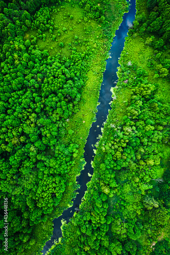 Blooming algae on the river. Aerial view of wildlife.