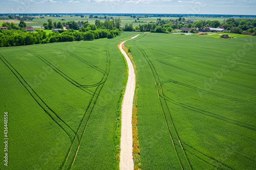 Country road and green fiel...