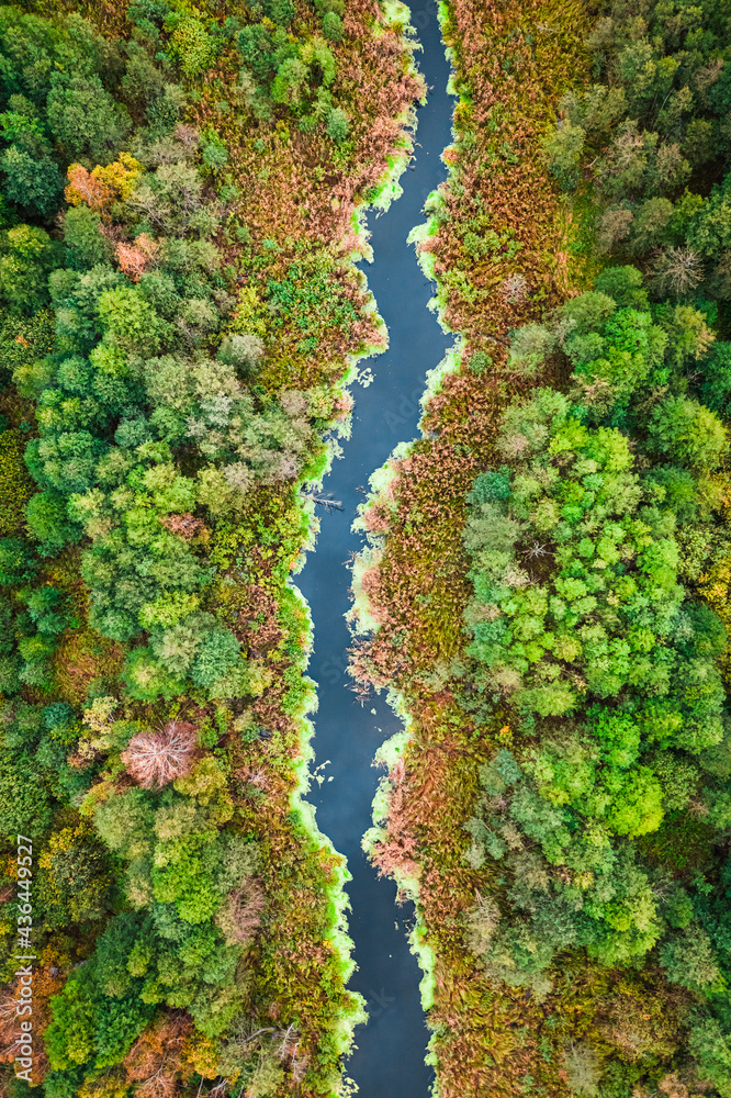 River and backwaters in autumn. Aerial view of wildlife, Poland. River and backwaters in autumn. Aerial view of wildlife, Poland.