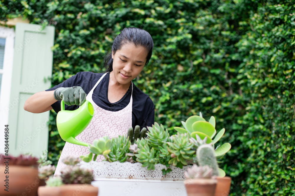 Happy Woman gardeners watering cactus and succulents plant in clay pots on the wooden table. Concept of home garden. Happy Woman gardeners watering cactus and succulents plant in clay pots on the wooden table. Concept of home garden.