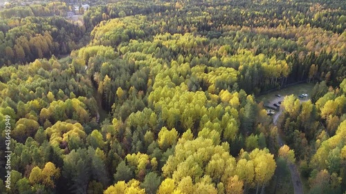 Summer, early autumn in forest aerial top view. Mixed forest, green conifers, deciduous trees, countryside woodland. Drone above colorful texture in nature