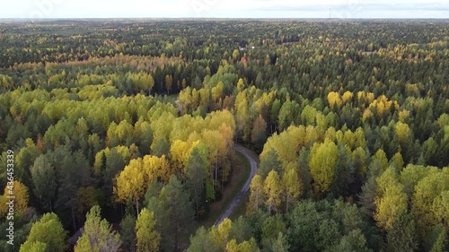 Summer, early autumn in forest aerial top view. Mixed forest, green conifers, deciduous trees, countryside woodland. Drone above colorful texture in nature