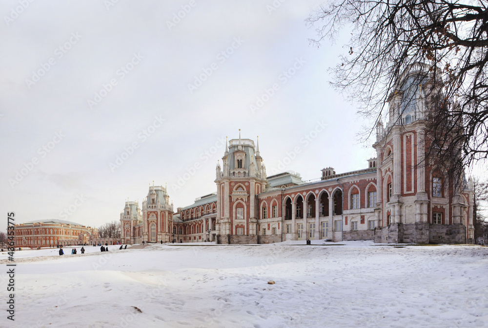 Palace complex in Tsaritsyno on a sunny winter day in Moscow