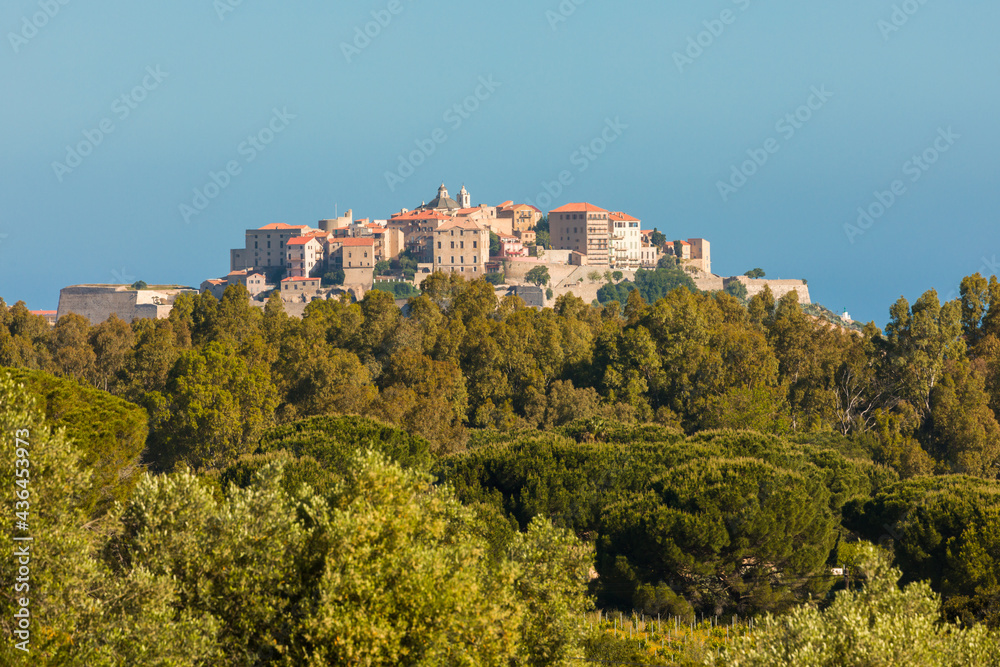 Citadel of Calvi in Balagne region of Corsica