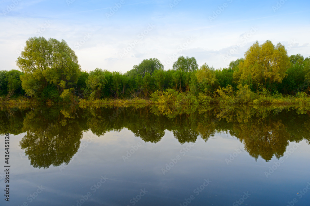 River bank with dense green forest and reflection in the water