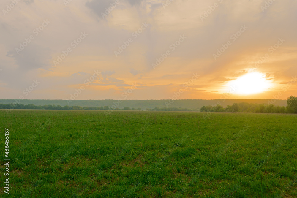 Summer landscape with sunrise over a green field