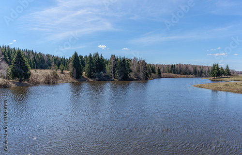 Spring landscape with a river and picturesque forest banks against a blue sky with white clouds. The water in the river sparkles from the sun, triangular evergreen spruces are reflected in it 