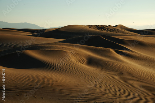 sunset in the dunes of the delta del ebro natural park  punta del fangar  tarragona  catalonia  spain