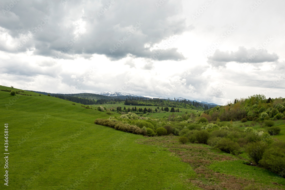 Green valley in the spring. Meadow and field with trees Green valley in the spring. Meadow and field with trees