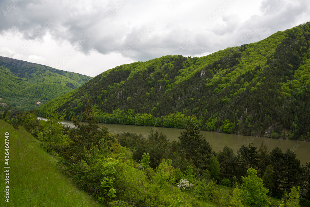 Mountain River Valley. New spring shoots on the trees. Mountain River Valley. New spring shoots on the trees.