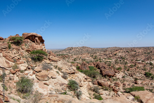 Wilderness Landscape in Somaliland, the Horn of Africa