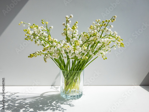 Bouquet of lily of the valley in the glass isolated on white background in bright sunlight. Delicate floral background photo