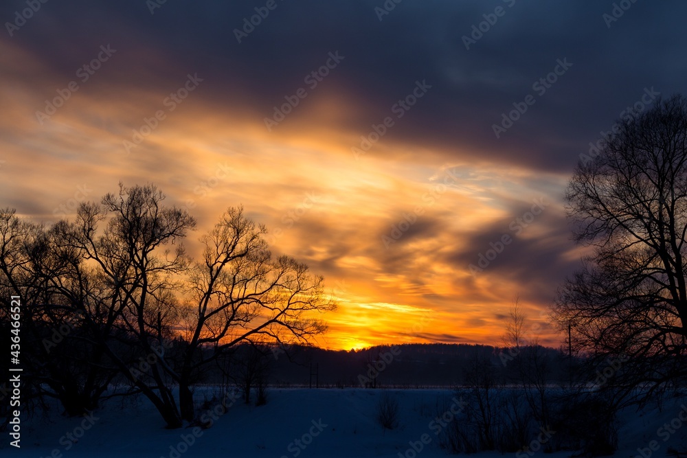 Colorful sunset behind the crowns of trees in winter Colorful sunset behind the crowns of trees in winter