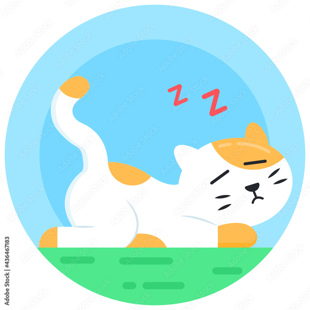 Fototapeta premium Lovely Cat