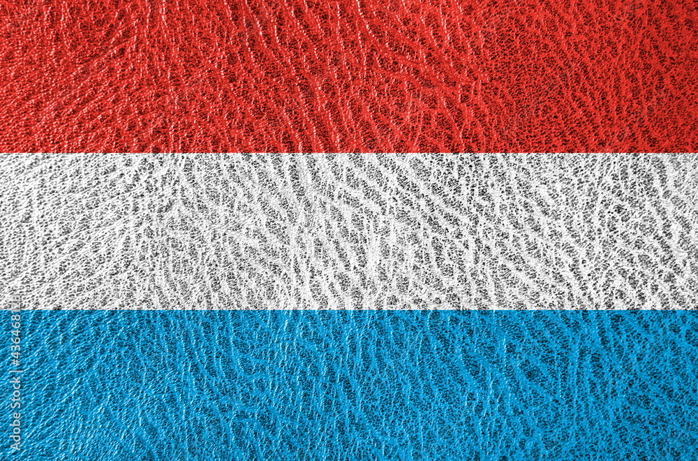 Fototapeta premium abstract leather texture with the flag