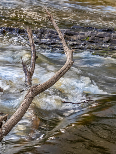 Fork Over Fast Water vert © david hutchinson