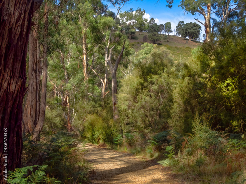 Path to Hilltop