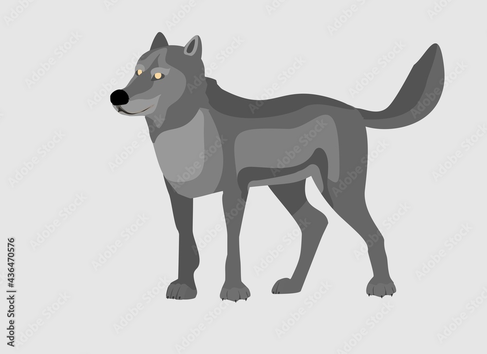 Grey Wolf looks in standing pose . Powerfull of a dangerous predator animal. A wild  animal with gray fur. Front view. Vector illustration isolated on  white 
