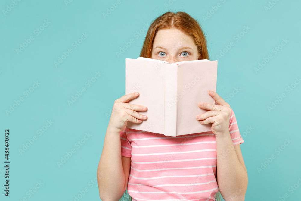Little pupil redhead kid girl 12-13 years old wearing casual pink striped t-shirt hiding cover mouth with book isolated on pastel blue background studio portrait Children lifestyle childhood concept Little pupil redhead kid girl 12-13 years old wearing casual pink striped t-shirt hiding cover mouth with book isolated on pastel blue background studio portrait Children lifestyle childhood concept