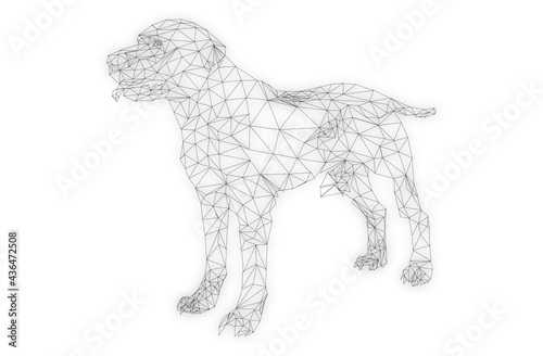 This is an image of low poly line art of dog.