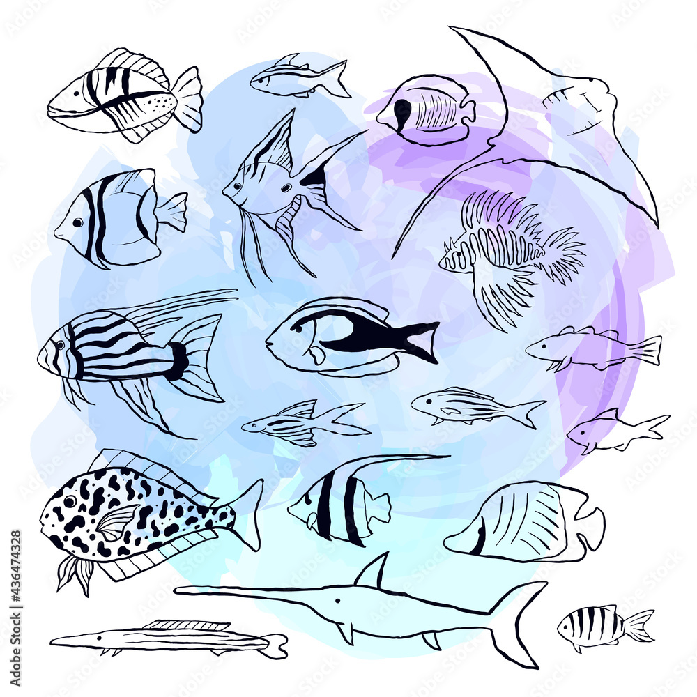 Obraz premium Vector set of fishes. Outline sea elements are isolated on white. Beautiful underwater flora and fauna. Aquarium, ocean, and undersea water life in hand-drawn or cartoon style.