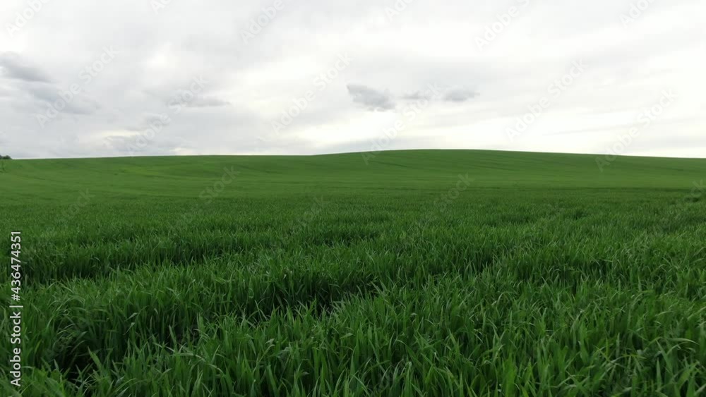 Flying over a beautiful green field in cloudy weather