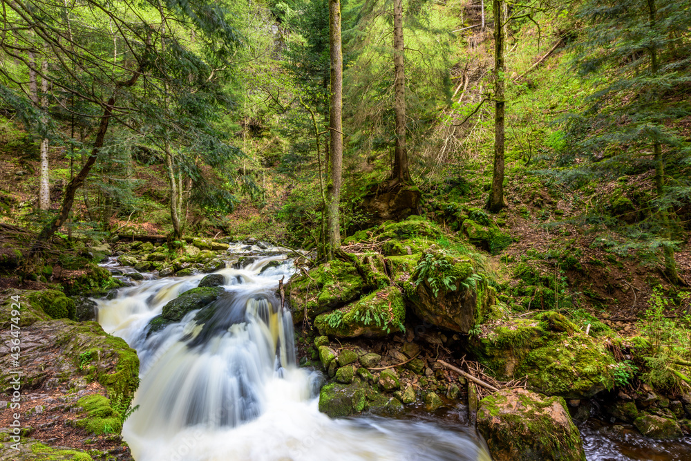 Waterfall in a forest, Ravenna Canyon in Hell Valley, Hinterzarten, Black Forest, Germany