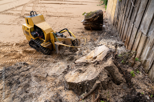 The process of removing a tree stump where the rotating head of the stump cutter grinds a freshly sawn stump..Spring view of a stump cutter that has just approached the stump to be destroyed.