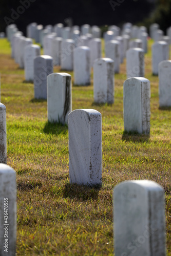 Riesiger Friedhof in Colmar (San Francisco/USA) - Soldatenfriedhof