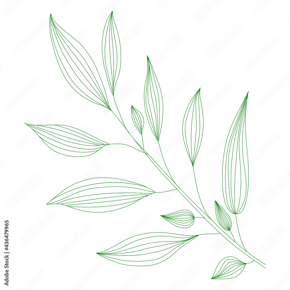 Line art branch with leaves. Vector minimalist outline illustration