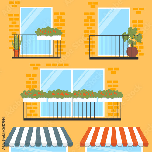 Balconies of house vector illustration. Home facade balconies with plants.