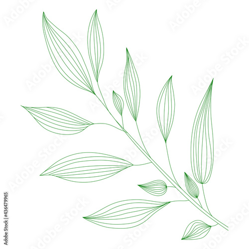 Line art branch with leaves. Vector minimalist outline illustration