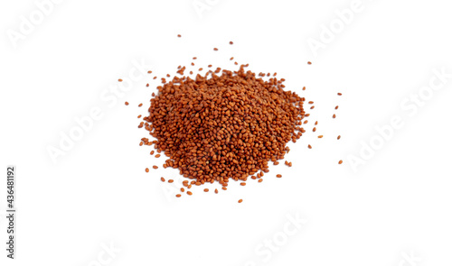 Camelina sativa seed isolate. Raw materials for the manufacture of camelina oil. Oilseeds of agricultural crops. Side view of seeds.