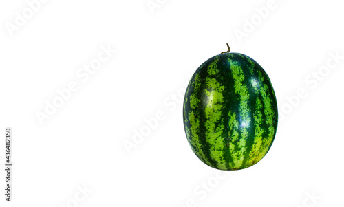 Green watermelon ball against white backdrop. Clipping path.