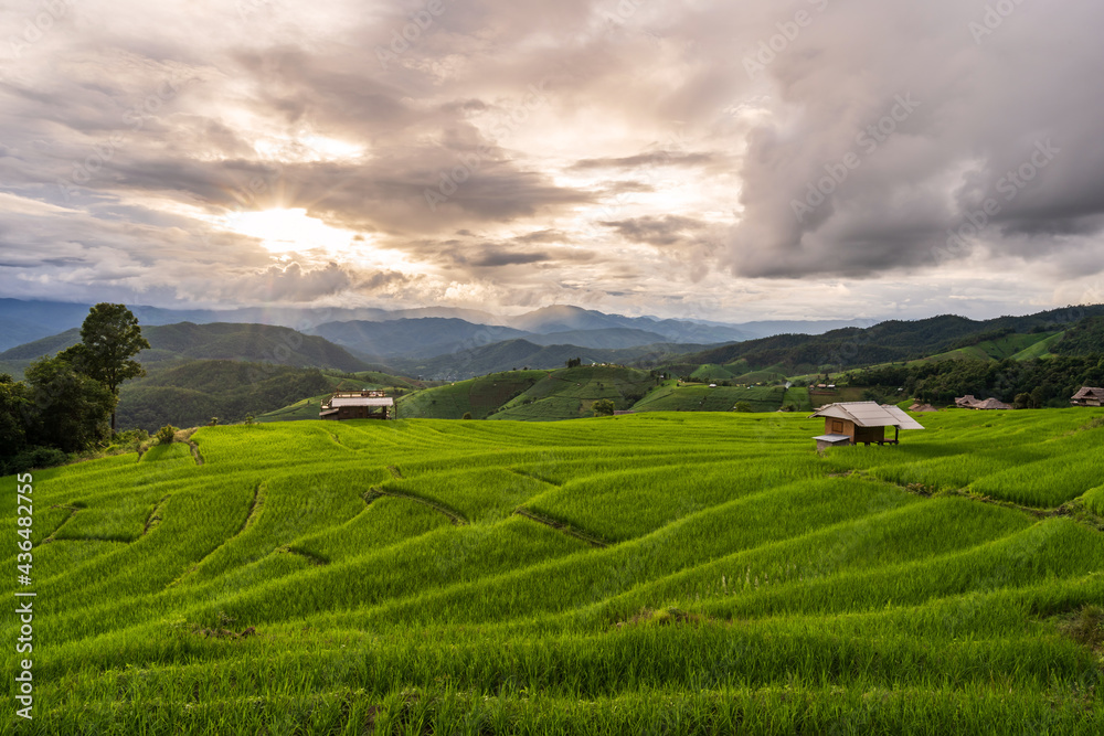 Beautiful Landscape green rice terraces field in Pa Pong Pieng, Chiangmai Thailand