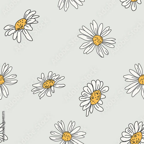 vector seamless pattern with drawing daisy flower, floral background, hand drawn botanical illustration