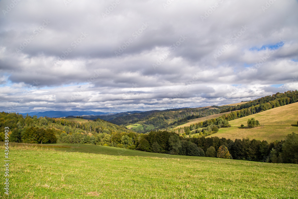 meadow covered with grass on a background of mountains and forests on a summer day blue sky in the clouds. Landscape of meadows.