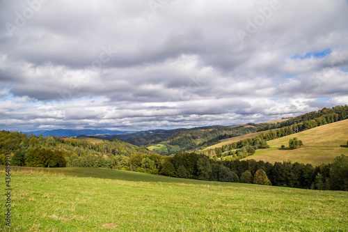 meadow covered with grass on a background of mountains and forests on a summer day blue sky in the clouds. Landscape of meadows.