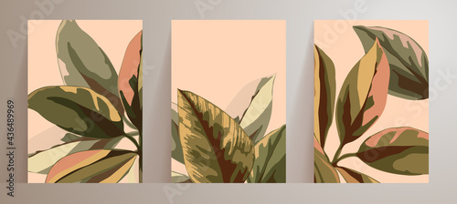 Wall art set with abstract natural, botanical posters. Large leaves green and pink. Minimal floral pattern. Plant Art design for print, cover, wallpaper of cosmetic product, beauty salon and spa.