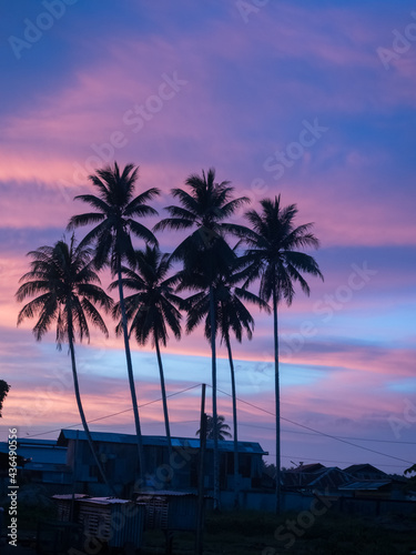 Tropical sunset