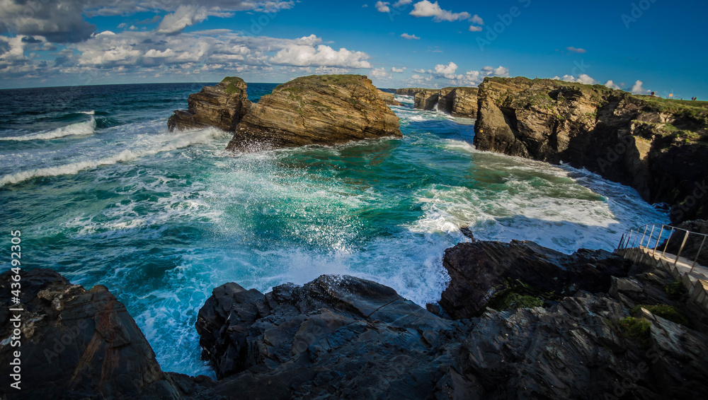 Obraz premium OLYMPUS DIGITAL CAMERA