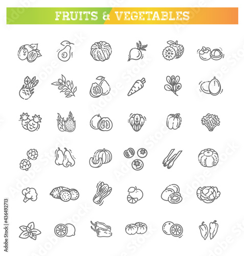 Fresh fruit and vegetables. Thin line flat design