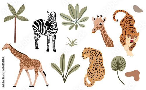 Safari animal object collection with leopard,tiger,zebra,giraffe. illustration for icon,sticker,printable