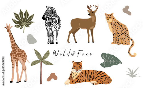 Safari animal object collection with leopard tiger zebra giraffe. illustration for icon sticker printable
