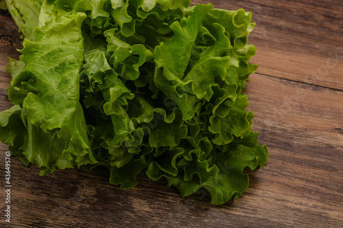 Green lettuce salad heap leaves